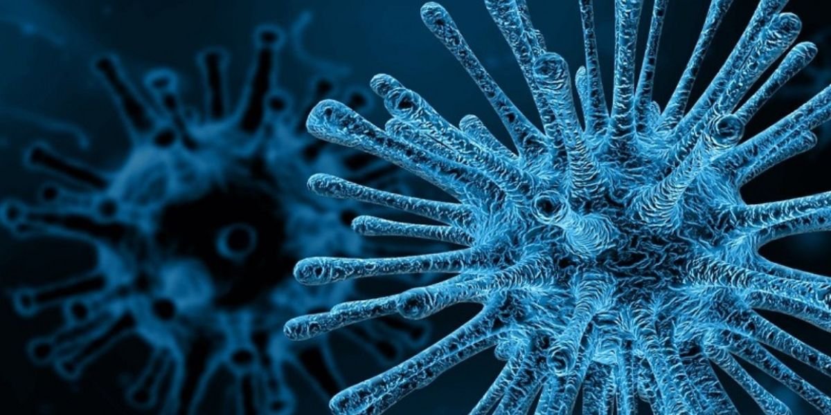 PM hepatitis control program