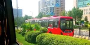 Punjab metro and green buses