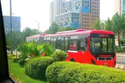 Punjab metro and green buses