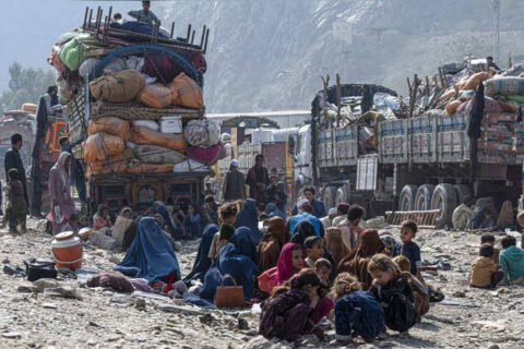 undocumented Afghan nationals