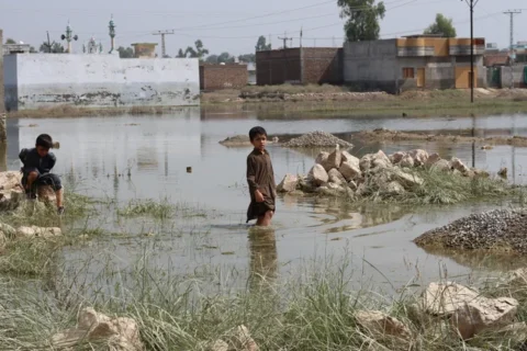 Pakistan Monsoon Disease