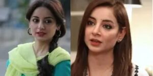 Pakistani actress Sarwat Gilani
