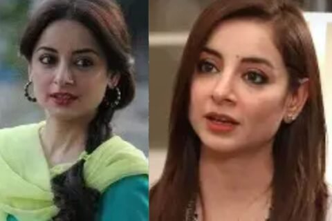 Pakistani actress Sarwat Gilani