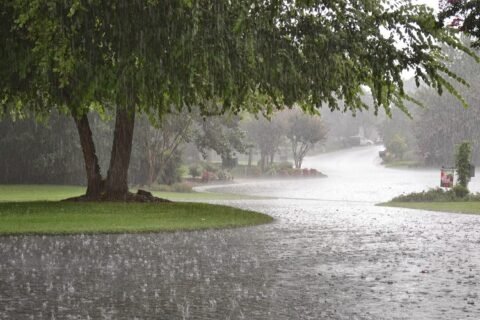 new spell of rain