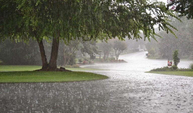 new spell of rain