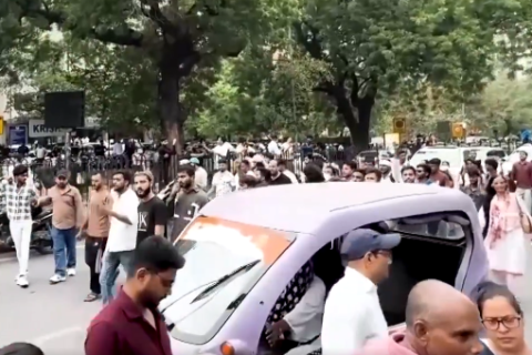 "Cockroach" protest movement
