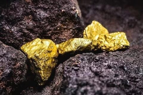 Gold prices fell