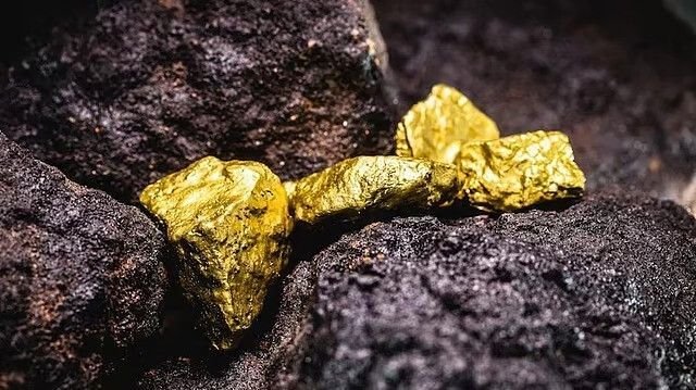 Gold prices fell