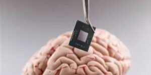 Brain and memory support
