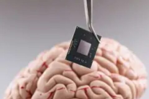 Brain and memory support
