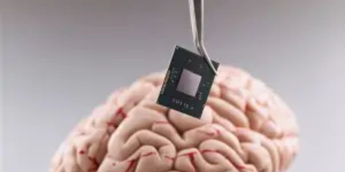 Brain and memory support