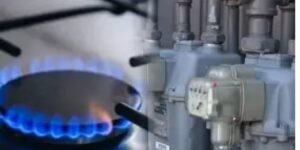 Ban on LNG domestic connections