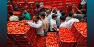Tomato prices soar