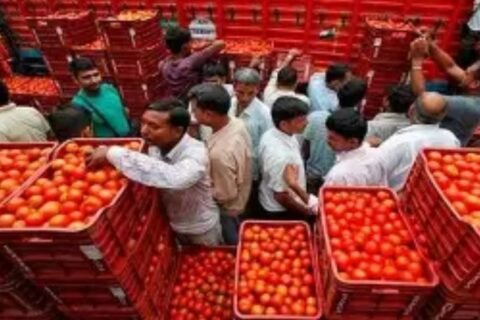 Tomato prices soar