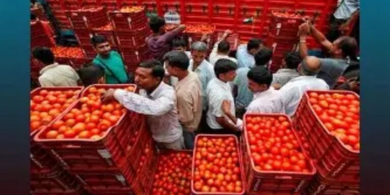 Tomato prices soar