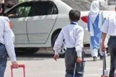 Summer vacations