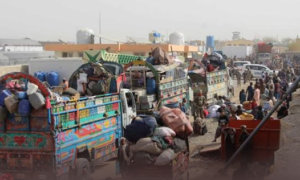 deportation of Afghan nationals