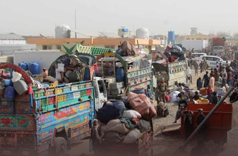 deportation of Afghan nationals