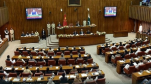 Senate committee