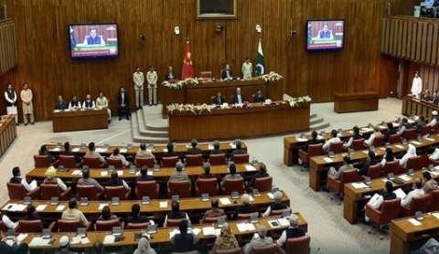 Senate committee