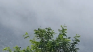 Heavy rain