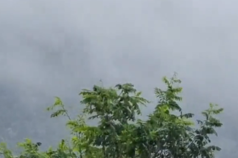 Heavy rain