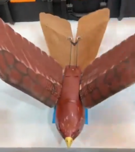 surveillance drone