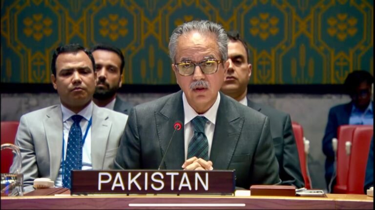 UN Security Council