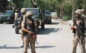 killed 19 terrorists