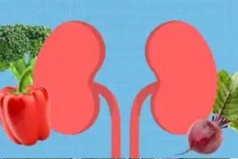 What are the best foods for healthy kidneys? ﻿