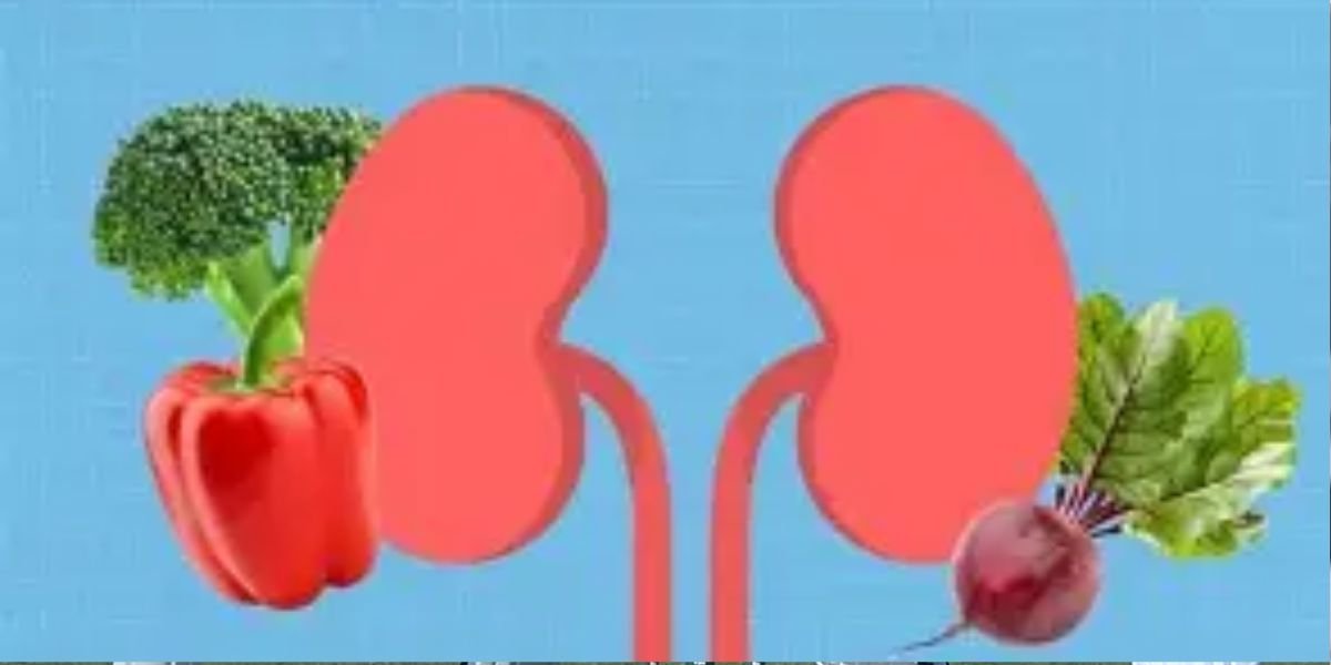 What are the best foods for healthy kidneys? ﻿