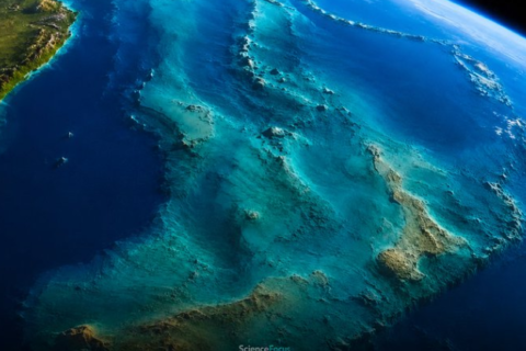 Earth has seven continents