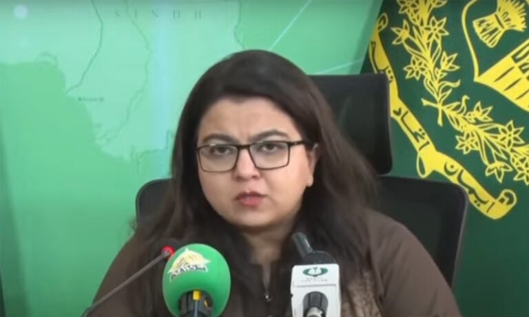 Targeted petrol subsidy programme comes into effect tonight
