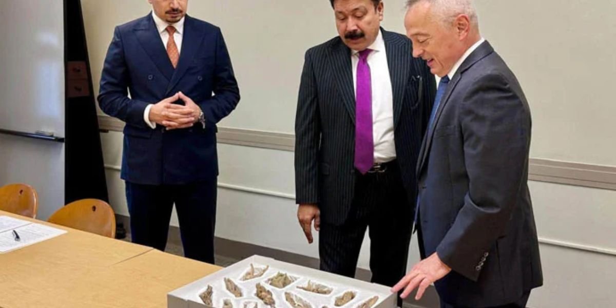 US returns 36 stolen antiquities to Pakistan