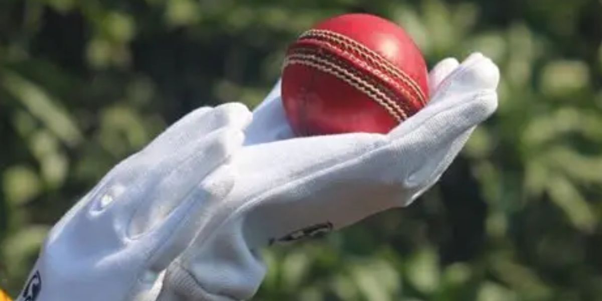 Cricket Introduces New ‘Test Twenty’ Format Featuring Boys and Girls